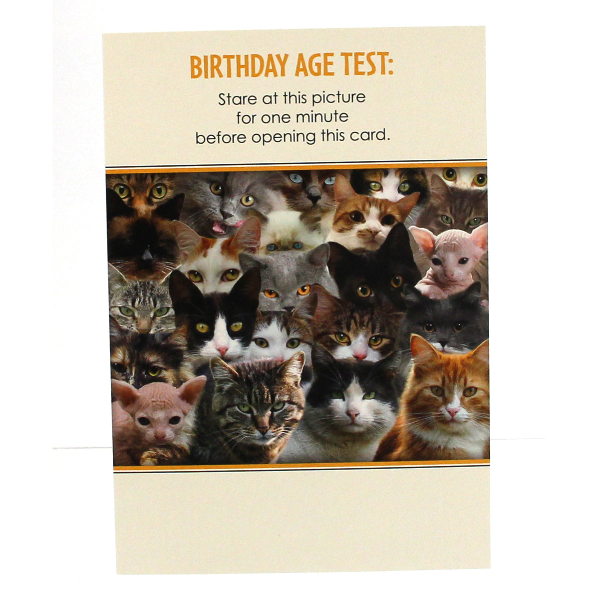 Birthday Card: Birthday Age Test (image of cats)