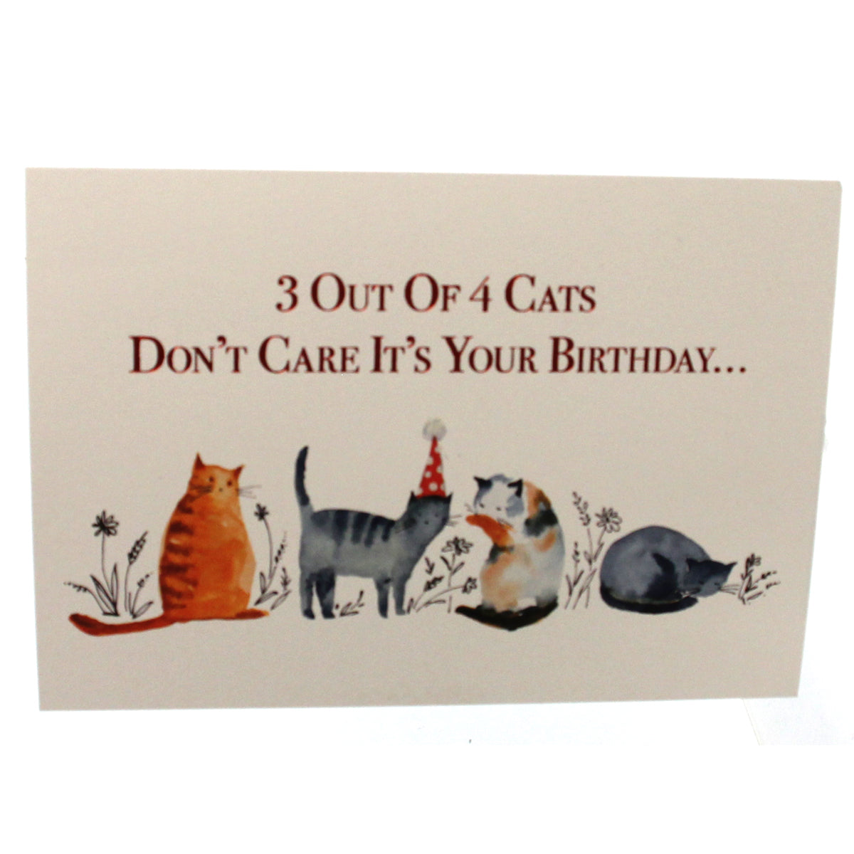 Birthday Card: 3 out of 4 cats...