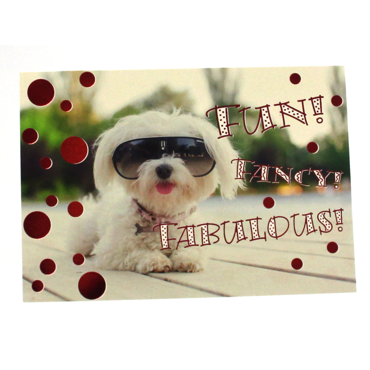 Friendship Card - Fun! Fancy! Fabulous!