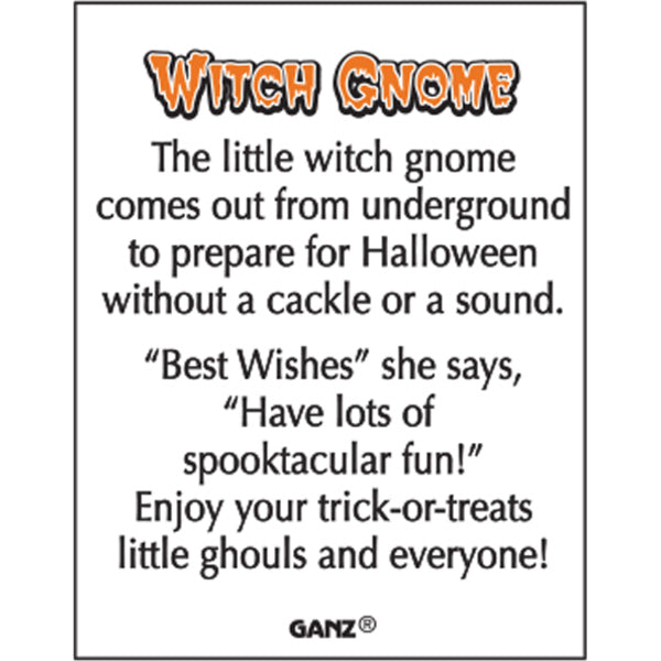 Witch Gnomes Charms