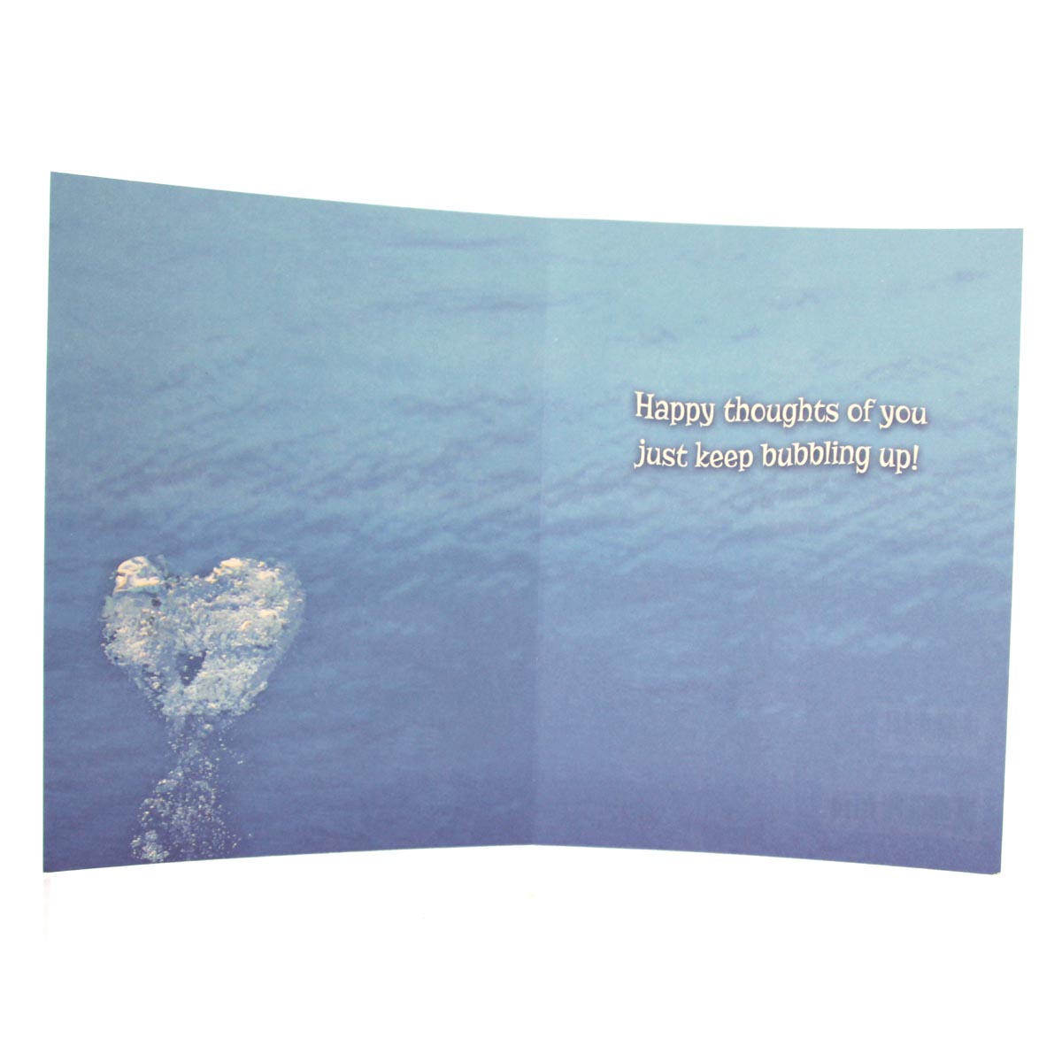 Thinking of You Card: (image of dolphin)