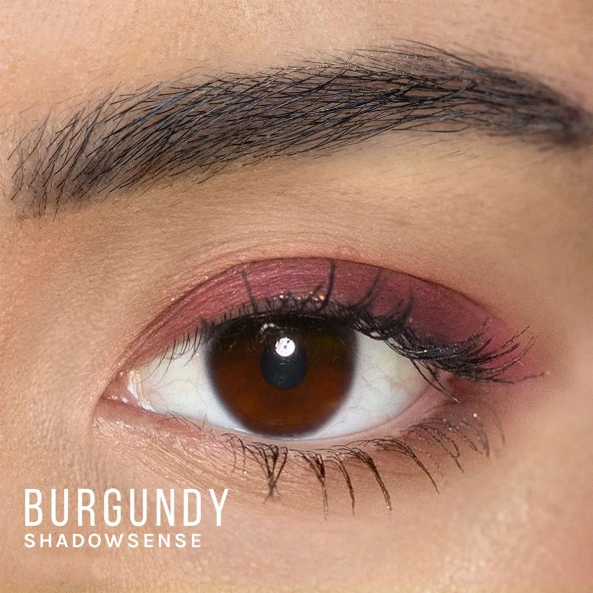 Burgandy ShadowSense® Eyeshadow .14 fl oz