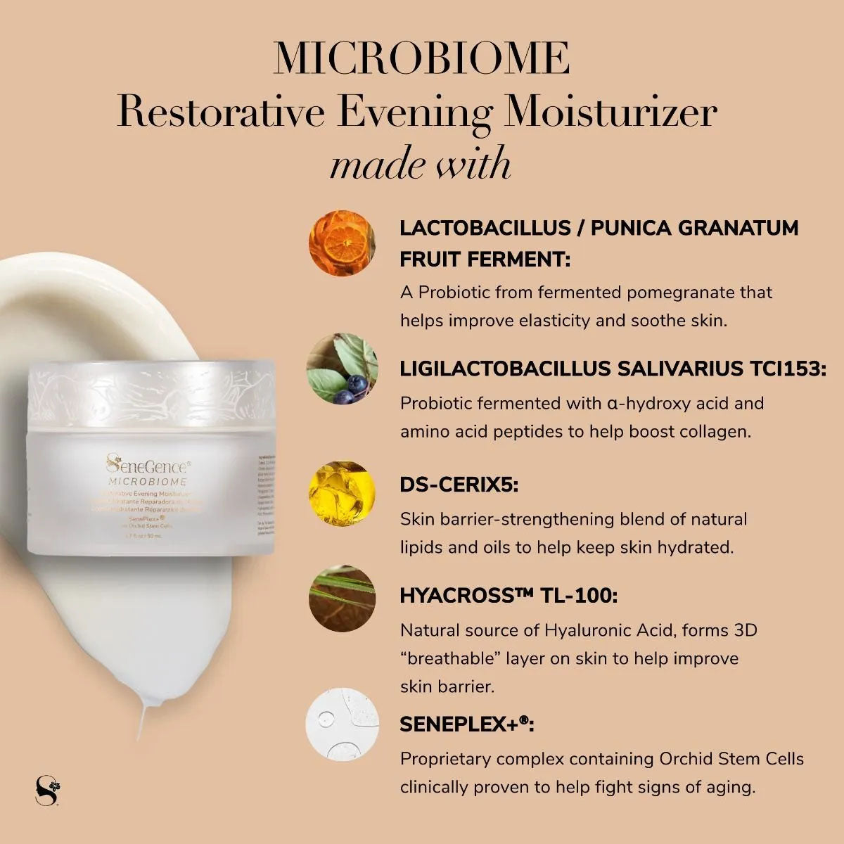 Microbiome Restorative Evening Moisturizer 1.7 fl oz