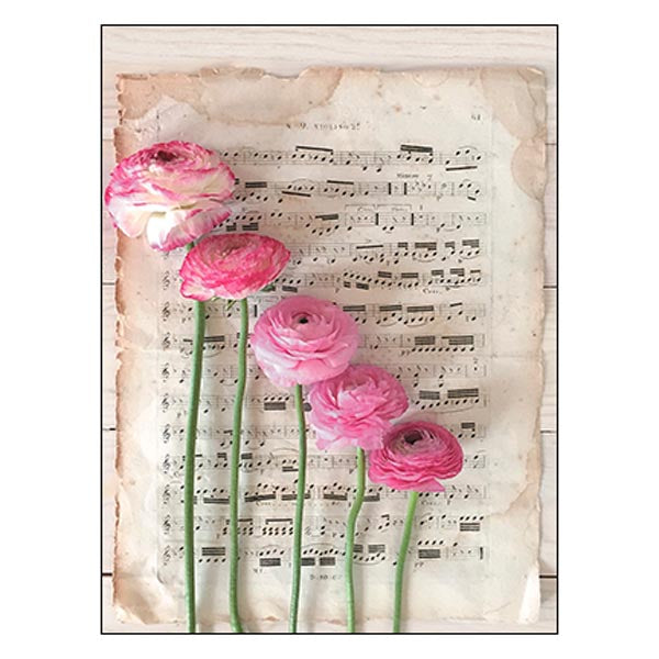 Blank Card:  Image of Musical Sheet w/Ranunculus flowers