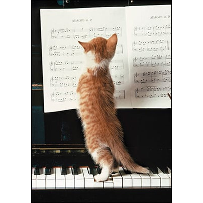 Birthday Card-  ( image of Cat & sheet music)