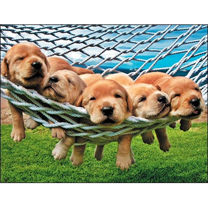 Blank Note Card Set-8-puppies