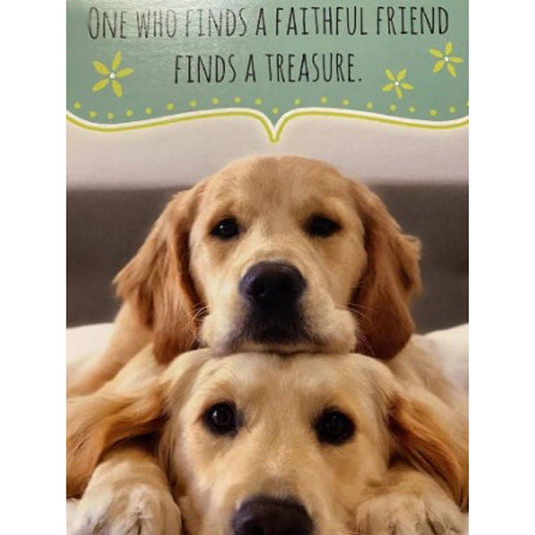 Friendship Card - "One who finds a faithful friend..."