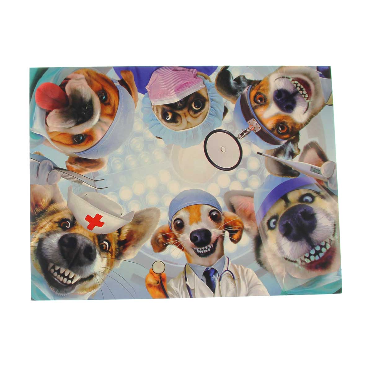 Get Well Card:  (image of dogs in scrubs)