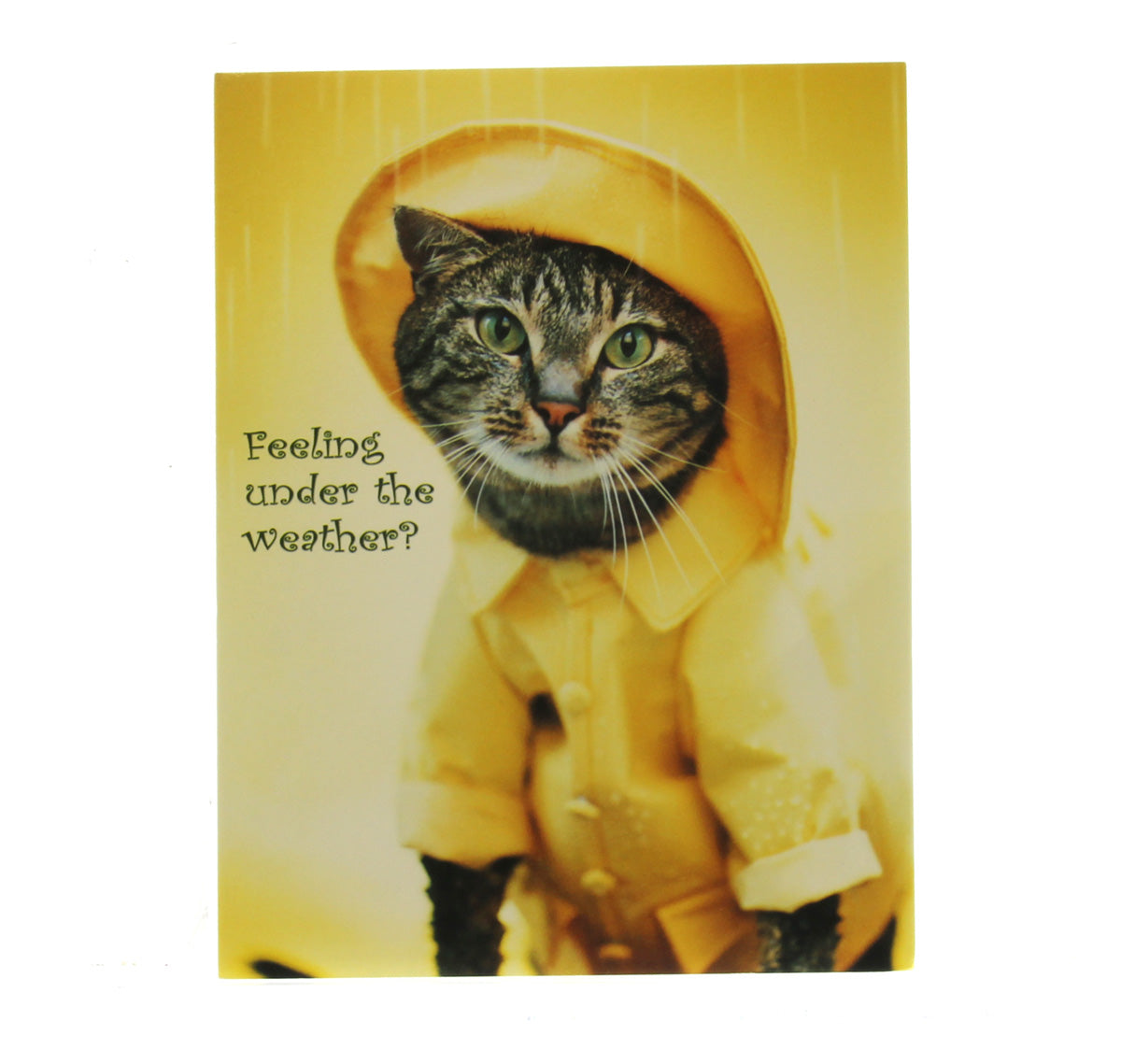 Notions Get Well Card: Feeling under the weather?