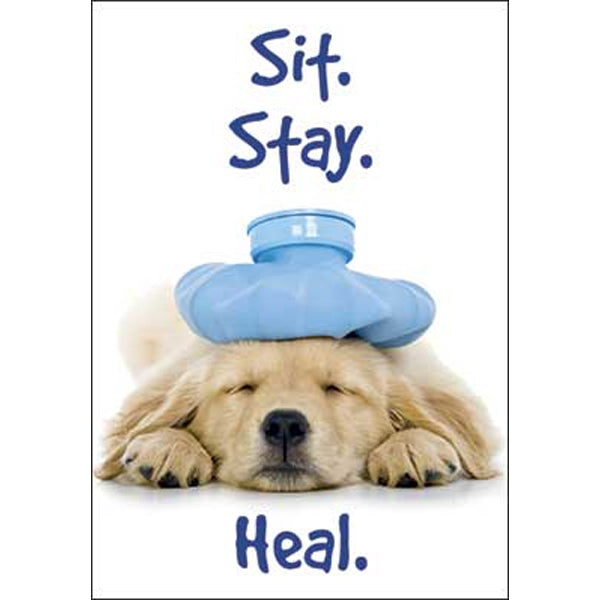 "Sit. Stay. Heal." Get Well Card (Dog)