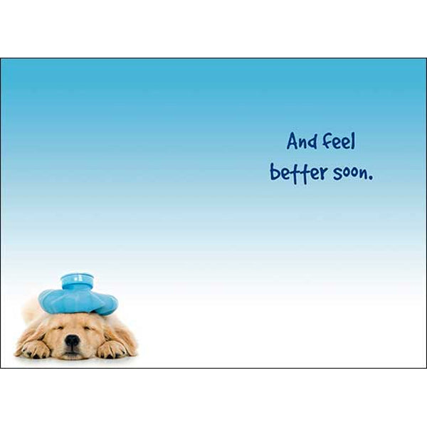 "Sit. Stay. Heal." Get Well Card (Dog)