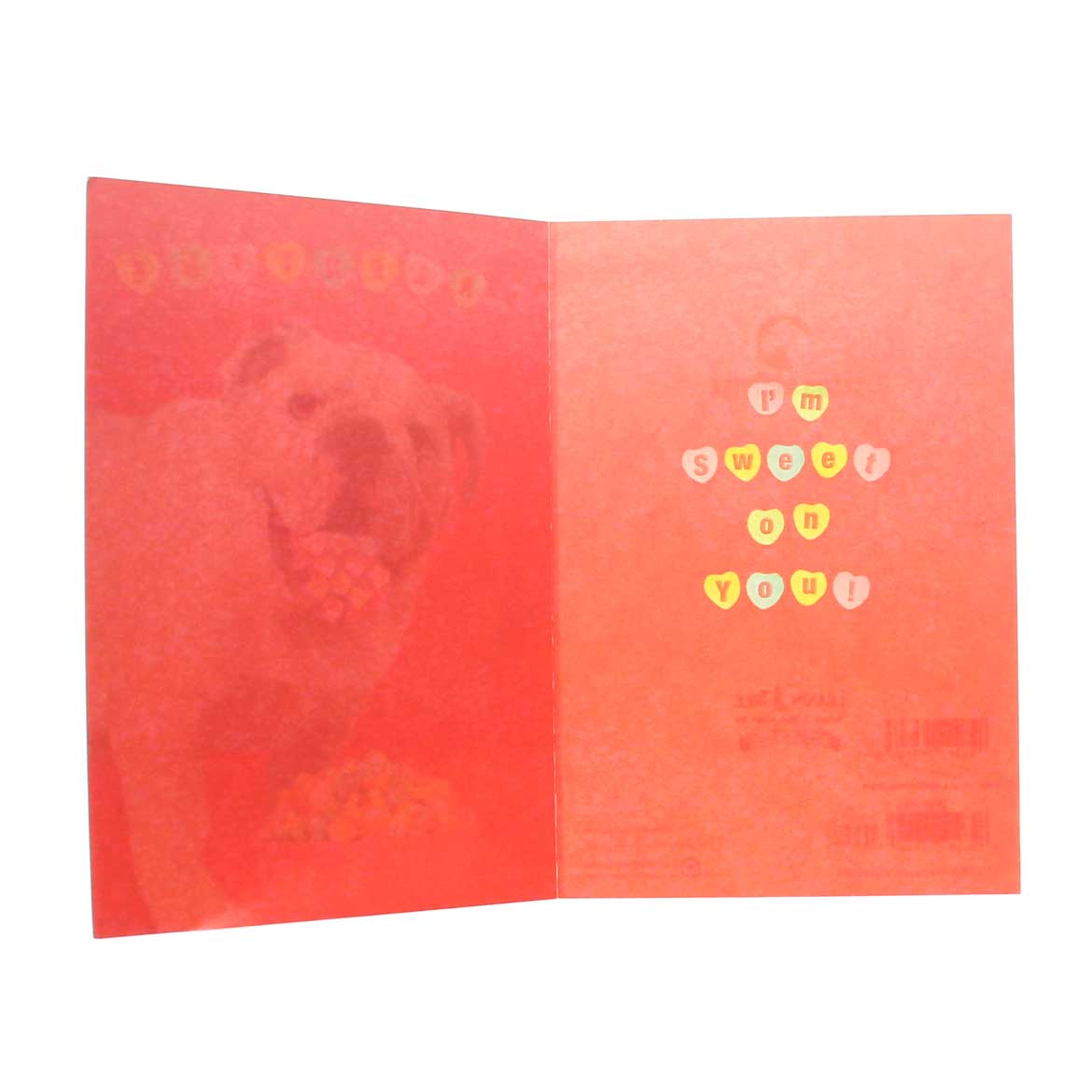 "Valentine" Valentine's Card w/dog